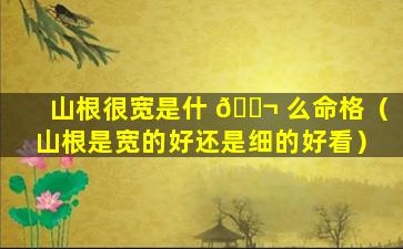 山根很宽是什 🐬 么命格（山根是宽的好还是细的好看）